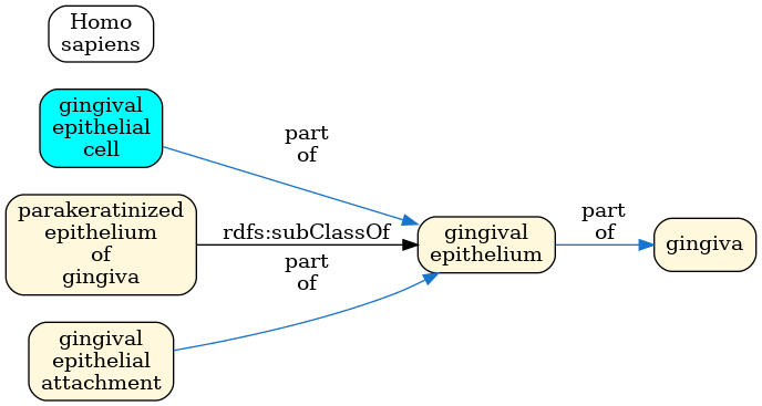 Gingiva ASCT+B table in graph