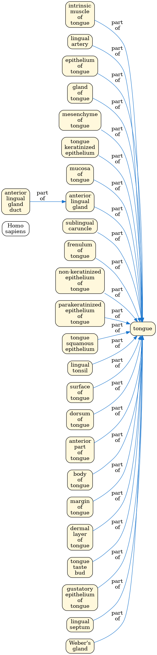 Tongue ASCT+B table in graph