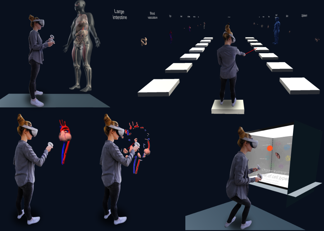 Image showing user interaction with data visualization in the VR Organ Gallery