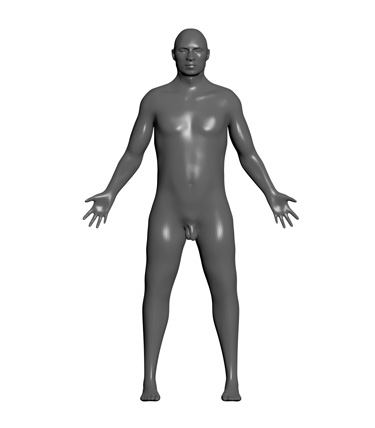 3D Model: Skin, Male