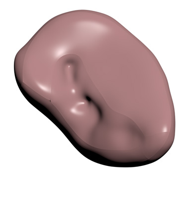 3D Model: Kidney, Male, Left